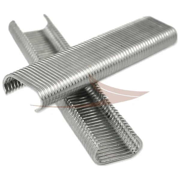 Image de Agrafes Galvanisées