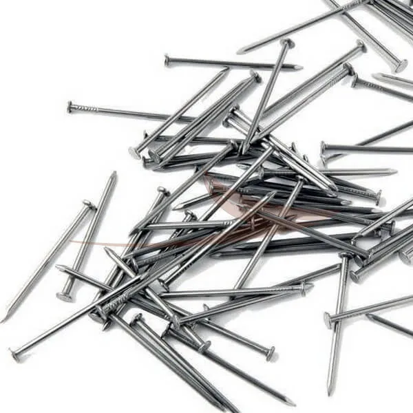 Pointe acier tête plate en 5kg