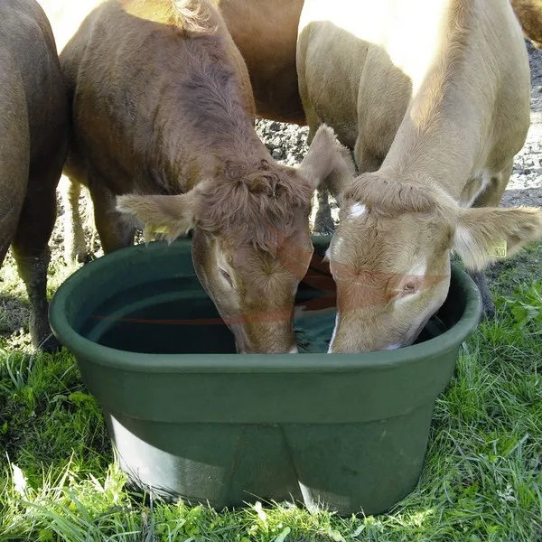 Bac de pâture thumbnail