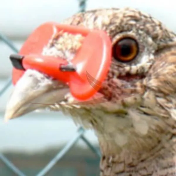 Lunette Anti-picage Faisan thumbnail