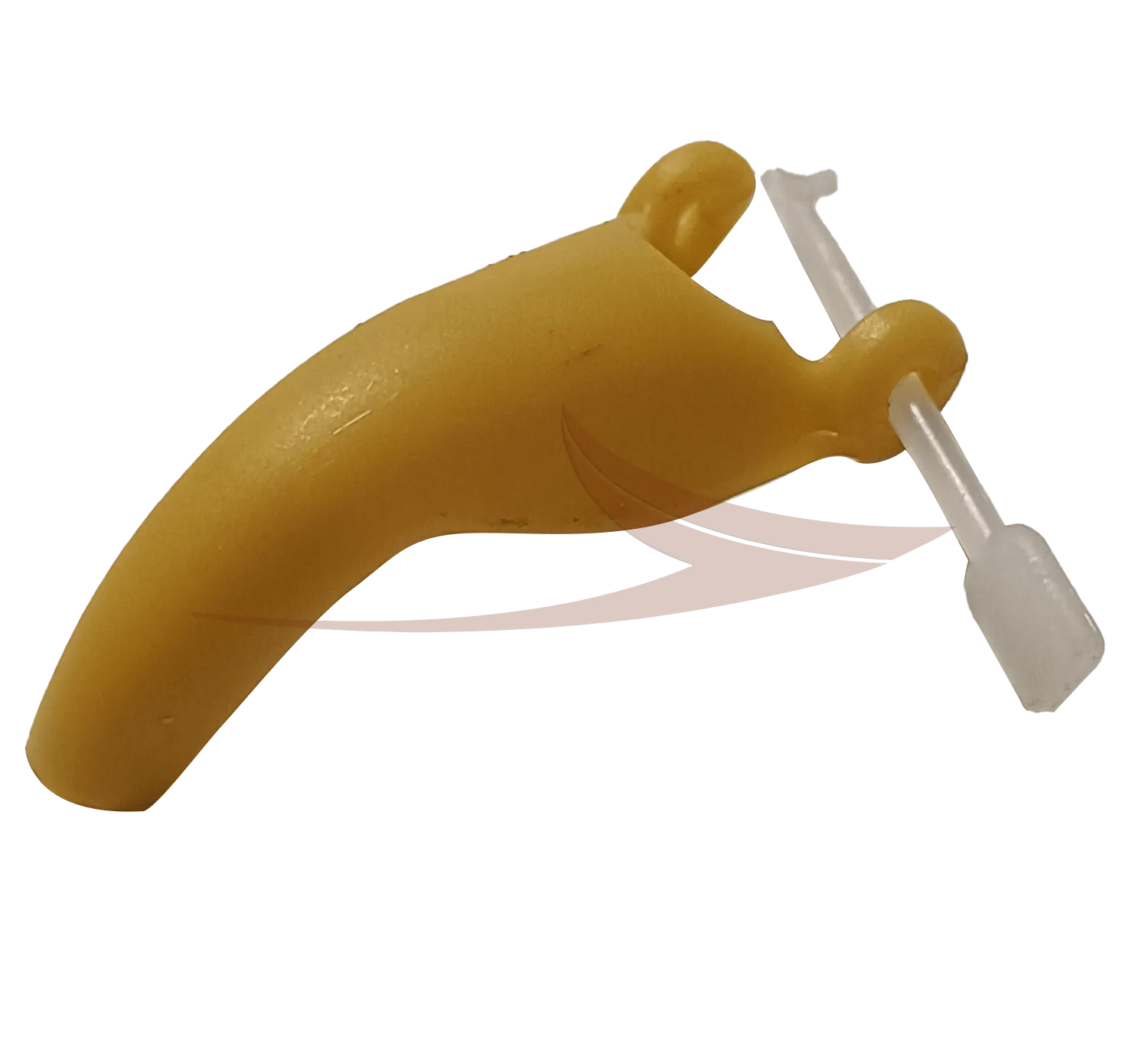 Becs faisan Grand modèle avec harpon thumbnail