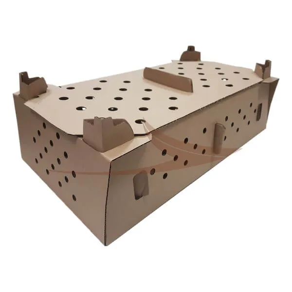 Carton poussins thumbnail