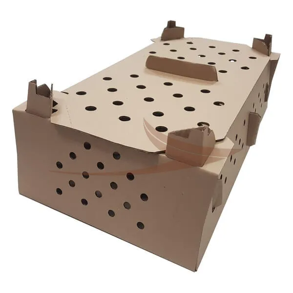 Carton poussins thumbnail