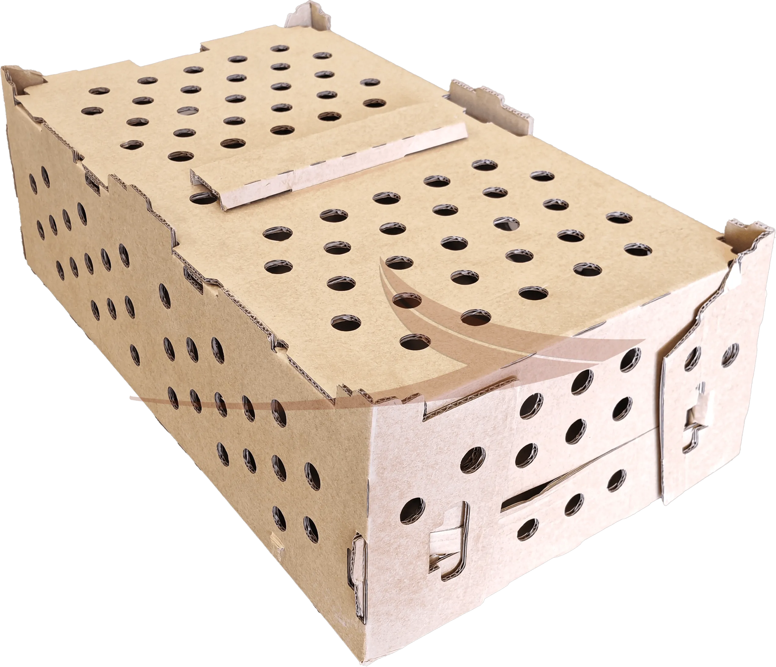 Caisse carton faisan thumbnail