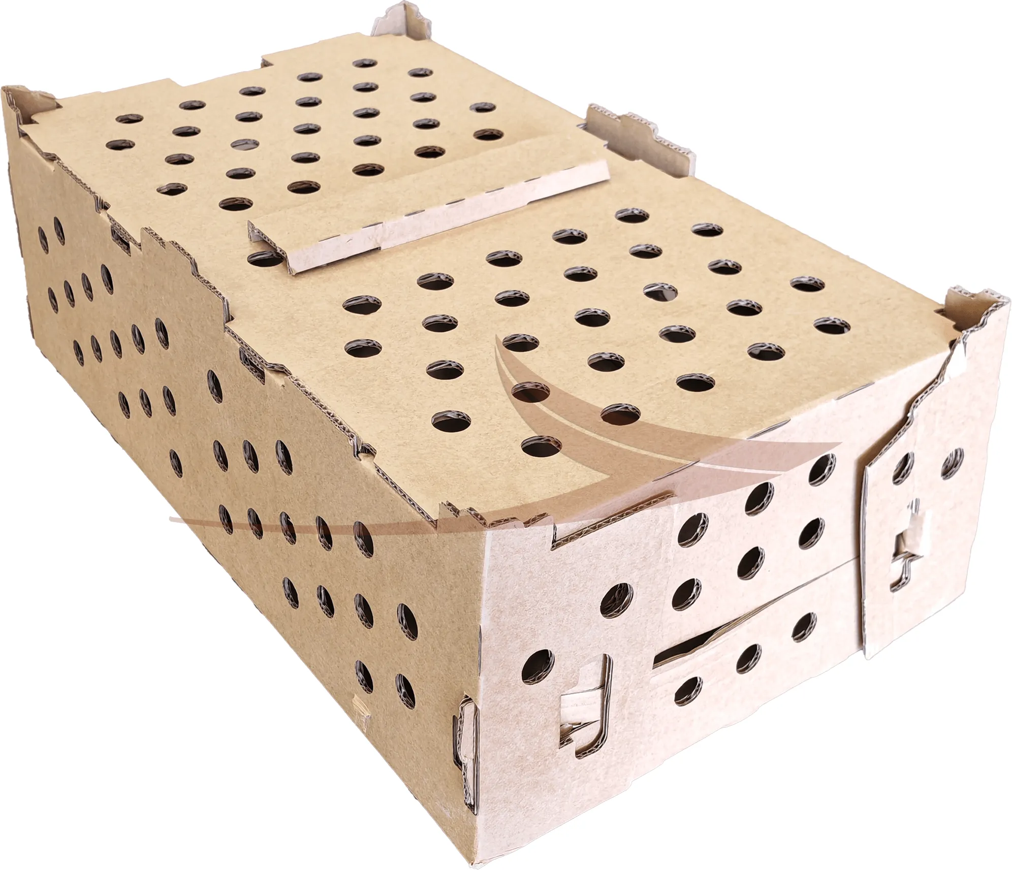 Caisse carton faisan