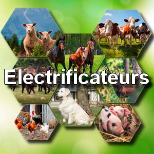 Electrificateurs